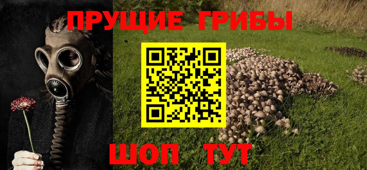 Галлюциногенные грибы MAGIC MUSHROOMS Городец